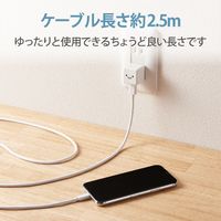 iPhone 充電器 ライトニング ケーブル同梱 1.0A出力 2.5m ホワイトフェイス MPA-ACL06WF エレコム 1個