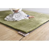 アイリスオーヤマ ラ・クッションラグ　ACRB-1318　グリーン　1個（直送品）