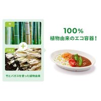 パックスタイル ＡＢカレーＣー２　ラミ　600枚(50×12) 650532（直送品）