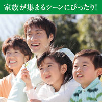 アサヒ飲料　三ツ矢サイダー　500ml　1箱（24本入）