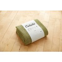 スミノエ HOMERUG Caruruカルル 抗菌・抗ウィルスラグ タイプフォー 2200×2500mm ブラウン 1枚（直送品）