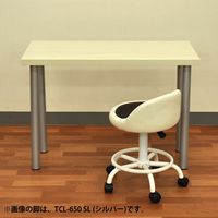 エイ･アイ･エス 金属丸脚 幅85×奥行85×高さ500mm ブラック TCL-500 BK 1セット(4本入)（直送品）