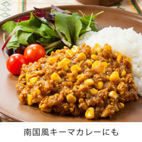 エバラ 横濱舶来亭トロピカルカレーフレーク 180g 1セット（3袋）