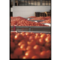 アルチェネロ アルチェネロ有機粗ごしトマトピューレー 500g 1個