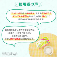 【9ヵ月頃から】ピジョン 赤ちゃんのやわらかパックごはん 80g×6パック 1袋 ベビーフード 離乳食 おかゆ