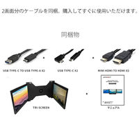 JAPANNEXT 2画面モバイルモニター 11.6インチ USB-C接続  JN-TRI-IPS116FHDR 1台（直送品）