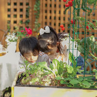 タカショー ホームベジトラグ L VGT-02F 1台（直送品）