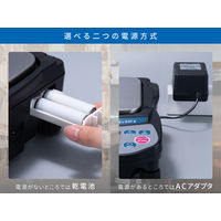 パーソナル天びん＜JCSS校正付＞EJ610B-JA-00J00≪ひょう量：610g　最小表示：0.01g≫　1台 エー・アンド・デイ（直送品）