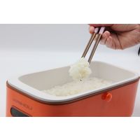カイホウジャパン コンパクトサイズマイコン式早炊き炊飯器 ホワイト a2452610 1個（直送品）