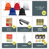 A4防災セット 基本内容ボックス1 ブラック 1人用 10セット 非常用持ち出し袋 防災グッズ ナップサック コンパクト A4ボックス（直送品）