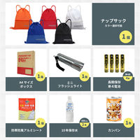 A4防災セット 基本内容ボックス2 レッド 1人用 10セット 非常用持ち出し袋 防災グッズ ナップサック コンパクト A4ボックス（直送品）