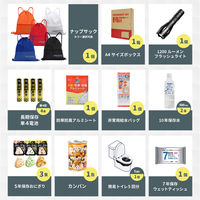 充実A4防災セット プラス 1人用 レッド 10セット 非常用持ち出し袋 防災グッズ ナップサック コンパクト A4ボックス 非常食（直送品）