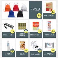 充実A4防災セット 1人用 ホワイト 10セット 非常用持ち出し袋 防災グッズ ナップサック コンパクト A4ボックス 非常食（直送品）