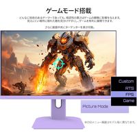 ジャパンネクスト  27インチ ワイドゲーミングモニター(1920x1080/IPS/200Hz) JN-IPS27G200F-PP（直送品）