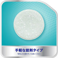 Haleonジャパン　酵素入りポリデント　1箱(108錠入）　　入れ歯洗浄剤（わけあり品）