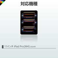 iPad専用ケース付き キーボード 11インチ iPad Pro (M4)用 着脱可能 黒 TK-CA10BPBK エレコム 1個（直送品）