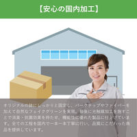 エスエスケイ 光触媒インテリアグリーン ポリシャス 70cm 25090 1個（直送品）