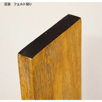 ポッシュリビング スリッパラック W28×D8×H43cm マンゴーウッド/アイアン 41309 1個（直送品）