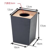 ポッシュリビング ダストボックス スクエアS　W12×D12×H17cm マンゴーウッド/アイアン 41319 1個（直送品）