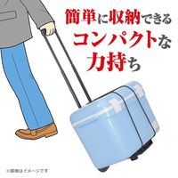 エツミ キャリーカート トローリー005 VE-6912 1個（直送品）