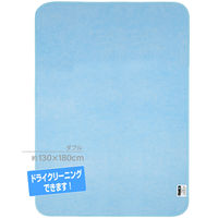 アストロ ドライ&ドライ吸湿防ダニマット ダブル 614-42N 1枚（直送品）