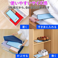 アストロ ドライ&ドライ 防ダニ抗菌防臭!吸湿シート 3枚組 617-74 1セット(3枚)（直送品）