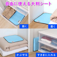 アストロ ドライ&ドライ 防ダニ抗菌防臭!吸湿押入れシート 617-75 1枚（直送品）