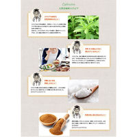 日本リコス ステビアヘルス ホワイト 170g×6個 4580052120018 1セット(6個)（直送品）