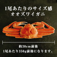 カネサン佐藤水産 北海道産オオズワイガニ カナダ産本ズワイガニ 食べ比べセット 2尾 計750g 116652881 1箱(2尾入)（直送品）