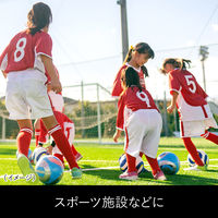 ビオレ ザ ボディ 泡で出てくるシャワーヘッド用ボディウォッシュ 24個 花王 【泡タイプ】