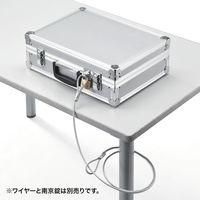 サンワサプライ セキュリティ対応アルミケース BAG-AL5SL 1個（直送品）