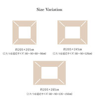 イケヒコ・コーポレーション ルシオ 掛布団 アイボリー 205×205cm 1161470140103 1個（直送品）