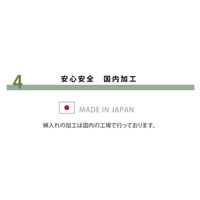 イケヒコ・コーポレーション シャルマン こたつ敷 グリーン 195×295cm 1161691125309 1個（直送品）