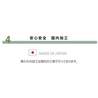 イケヒコ フィーラ こたつ敷 ベージュ 190×190cm 1161700020809 1個（直送品）