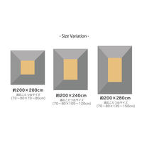 イケヒコ フラリー 中掛 ブラウン 200×200cm 1181480062640 1個（直送品）