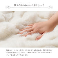 イケヒコ ラピアスプレミアム 毛布 アイボリー 180×200cm 1195990140310 1個（直送品）