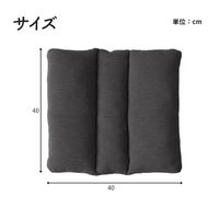 イケヒコ フィース その他 ブラック 40×40cm 1212080038501 1個（直送品）