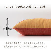 イケヒコ もえ 座布団 ブルー 60×60cm 1240650042304 1個（直送品）