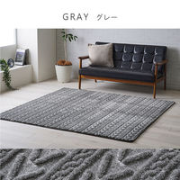 イケヒコ アルテラ ジャガードラグ 2900×2000mm ベージュ 1280900021403 1枚（直送品）