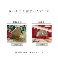 イケヒコ ベルミラ ウィルトンカーペット 3000×2000mm ワイン 1321180280701 1枚（直送品）