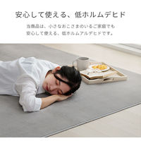 イケヒコ ピオニー2 無地ラグ 1850×1850mm パウダーブルー 1380000025940 1枚（直送品）