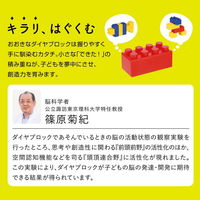 カワダ おおきなダイヤブロック はじめてのブロックあそび ミニ OD-03 1個