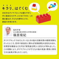 カワダ おおきなダイヤブロック はじめてのブロックあそび ボックス(増量版) OD-02A 1個