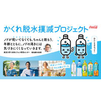 コカ・コーラ 綾鷹 650ml 1箱（24本入）