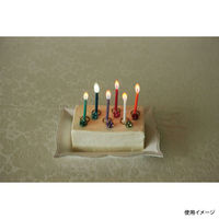 カメヤマ 贈答用飾り rainbow moments 6色6本 B5605-00-00 1ケース(80個(10個×8))（直送品）