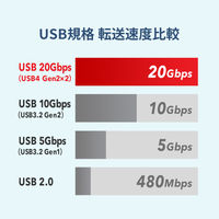 サンワサプライ USB20Gbps TypeーCケーブル（デュアルスクリューロック・240W） 1本