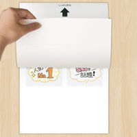 アスカ ラミネーター専用キャリアシート CAR01 1ケース(100個)（直送品）