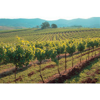 【サクラワインアワード ゴールド】オーストラリア リンデマンズ ビン45 CS 赤ワイン ミディアム 750ml 1本 国分