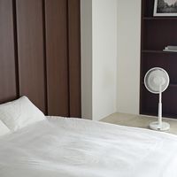 シロカ siroca 音声操作サーキュレーター扇風機SFーV251(W)ホワイト SF-V251(W) 1個