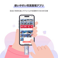 Maktar スマホに挿すだけデータ自動バックアップ Piconizer4 256GB MKP4-SG-256G 1個